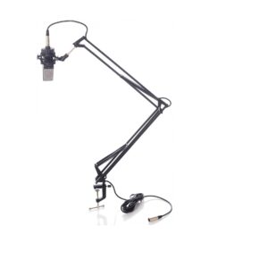 BESPECO MSRA10 Asta microfonica con braccio flessibile