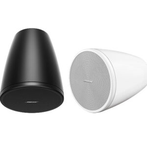 BOSE  DesignMax DM10P-SUB White Subwoofer pendente da10 pollici
