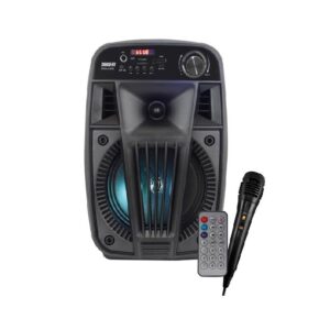 KARMA V SINGER Diffusore amplificato