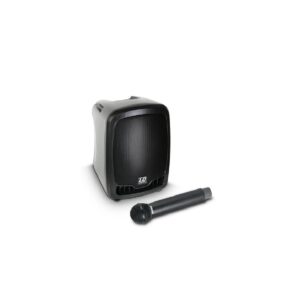 LD Systems Roadboy 65 B5 Altoparlante PA