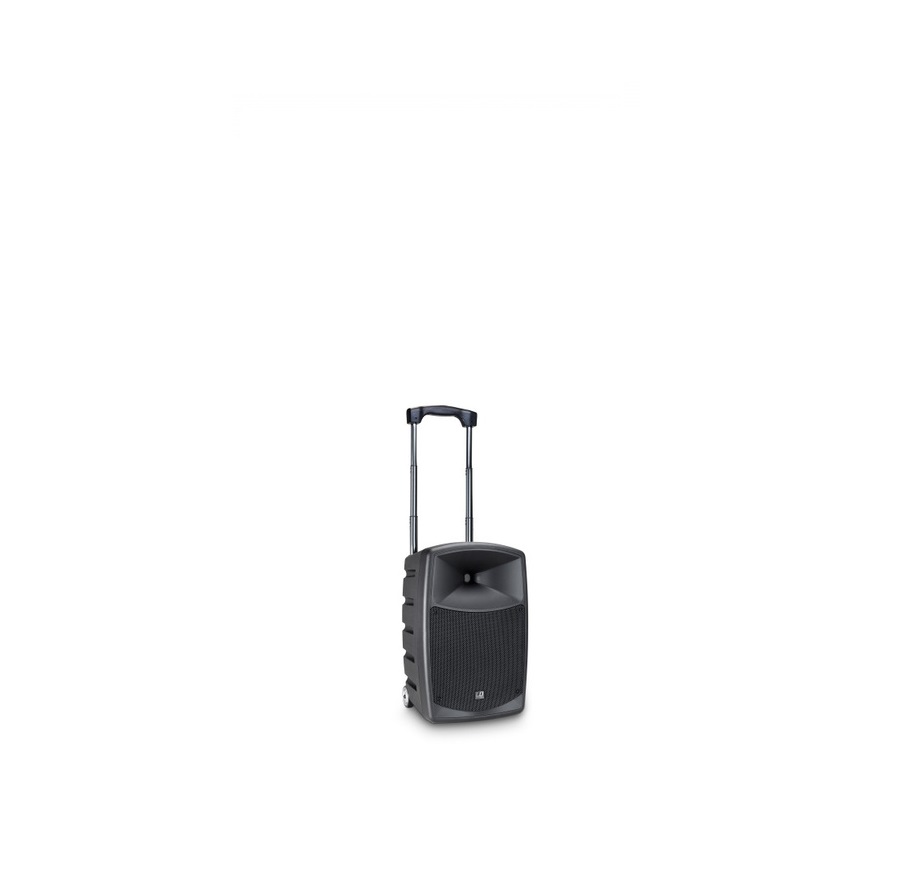LD Systems ROADBUDDY 10 BASIC Altoparlante Bluetooth