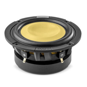 FOCAL CAR SUB 5KM