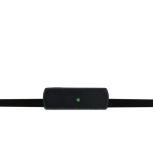 Phonocar Antenna AM/FM amplificata da interno
