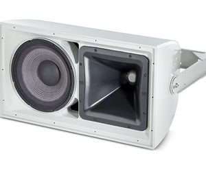 JBL AW295-BK Altoparlante a 2 vie ad alta potenza
